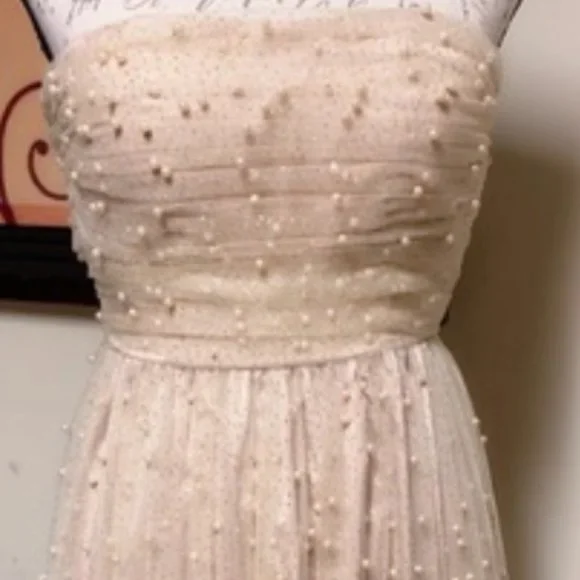 BHLDN Anya Pearl Embellished Midi Dress - Picture 2 of 3